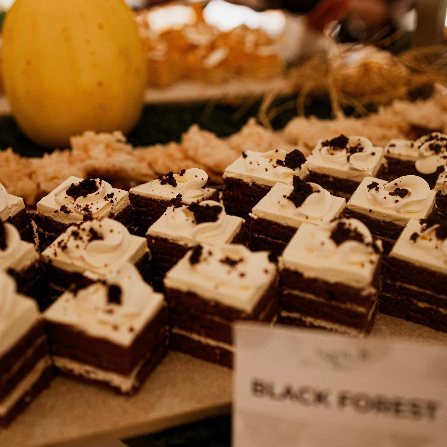 marriottikeja_1753362029942